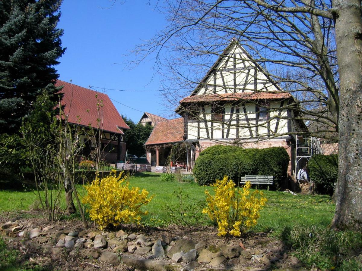 Schalkendorf Le Gite Des Ecureuils מראה חיצוני תמונה